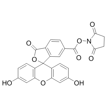 6-羧基荧光素琥珀酰亚胺酯