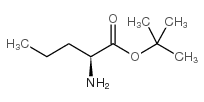 L-正缬氨酸叔丁酯