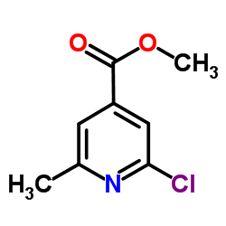 2-氯-6-甲基-异烟酸甲酯