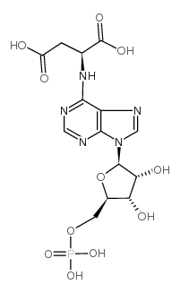 腺苷酸基琥珀酸