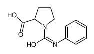 1-(苯胺羰基)吡咯烷-2-羧酸