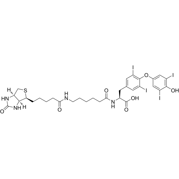 Biotin-hexanamide-(L-Thyroxine)