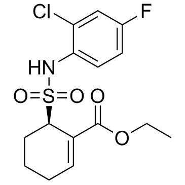 瑞沙托维