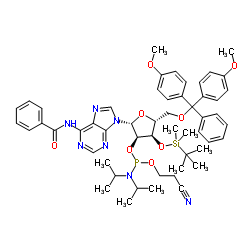 3'-O-TBDMS-N6-Bz-rA 亚磷酰胺单体