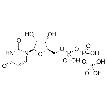 尿苷-5'-三磷酸