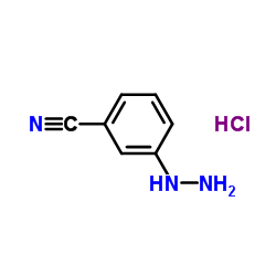 3-氰基苯肼盐酸盐