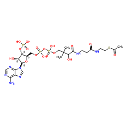 乙酰辅酶 A 钠盐