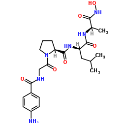 4-氨基苯甲酰基-甘氨酰-脯氨酰-D-亮氨酰-D-丙氨酰异羟肟酸