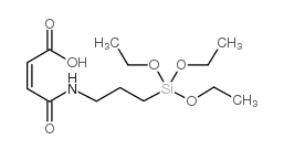 三乙氧基硅基丙基马来酸