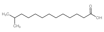 12-甲基十三烷酸