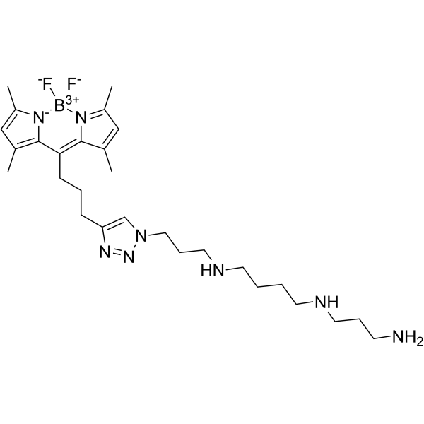 Fluorescent polyamine probe-1