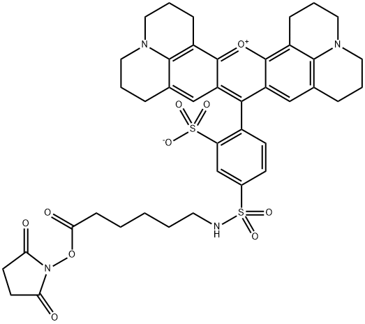 texas red-x, succinimidyl ester