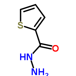2-噻吩甲酰肼