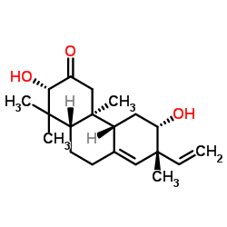 yucalexin p 17