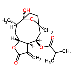 圆叶肿柄菊素 D