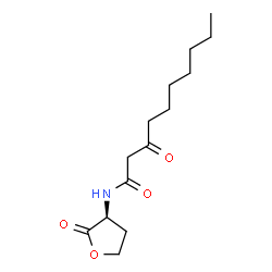 N-3-oxo-decanoyl-L-Homoserine lactone