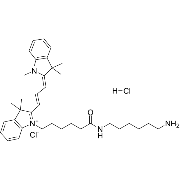 Cy3 胺