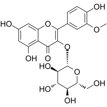 异鼠李素-3-O-葡萄糖苷