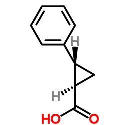 反式-2-苯基环丙烷-羧酸