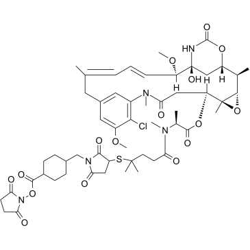 DM4-SMCC