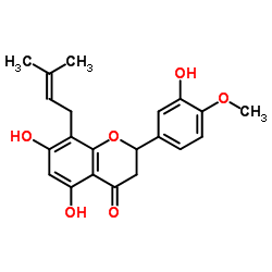 5,7,3'-三羟基-4'-甲氧基-8-异戊烯基黄烷酮
