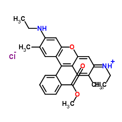 罗丹明590氯化物