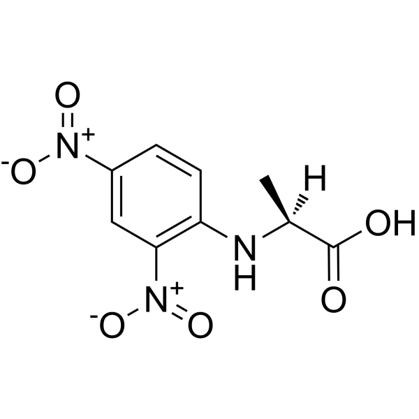 二硝基苯丙氨酸