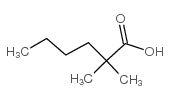 2,2-二甲基己酸