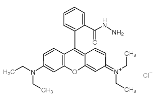 罗丹明B酰肼