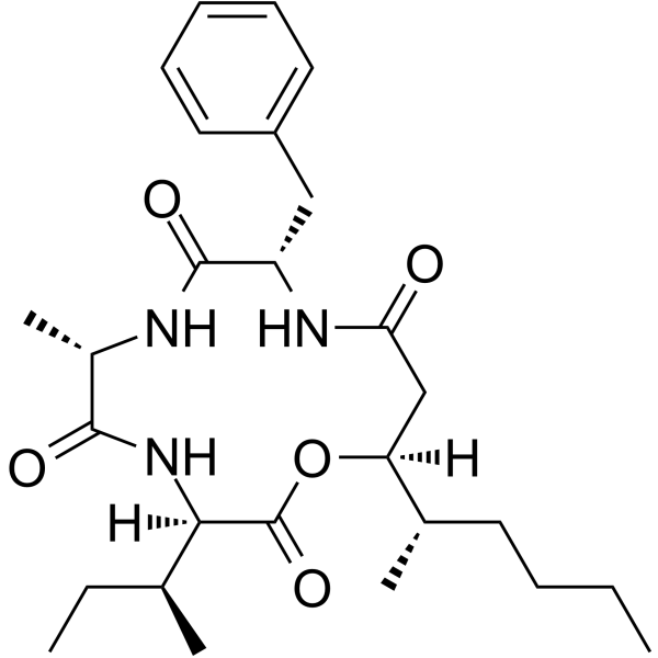 Beauveriolide III