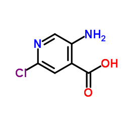 5-氨基-2-氯吡啶-4-羧酸