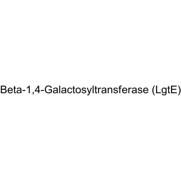 人体 Β-1,4-半乳糖转移酶 I 重组体 来源于酿酒酵母