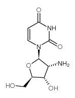 2'-氨基脱氧尿苷