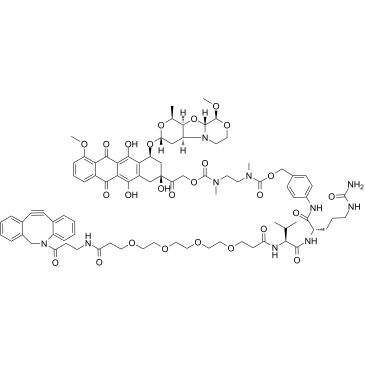 DBCO-PEG4-VC-PAB-DMEA-PNU-159682