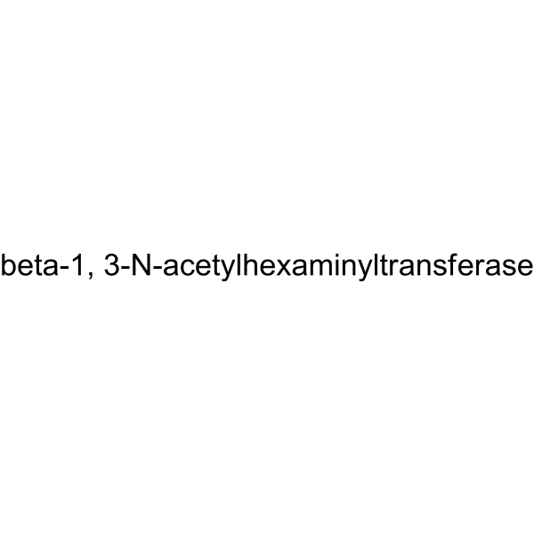 beta-1, 3-N-acetylhexaminyltransferase