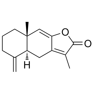 白术内酯I； 苍术内酯I