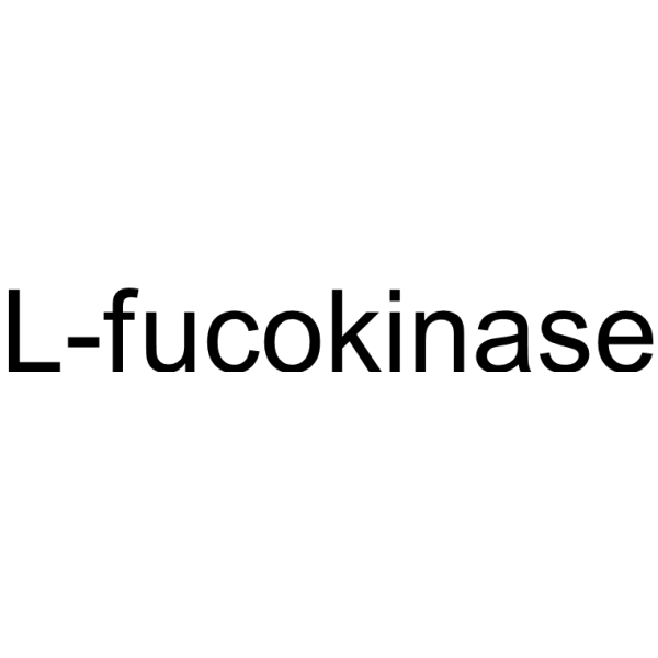 L-fucokinase