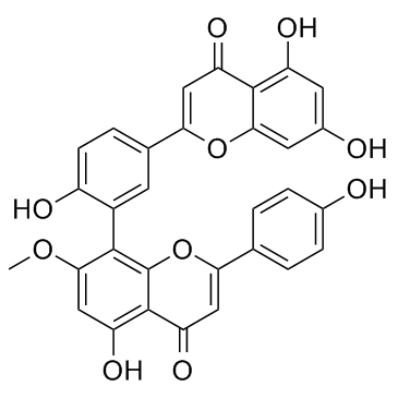 苏铁双黄酮