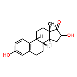 16α-hydroxy Estrone