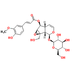 6-阿魏酰梓醇