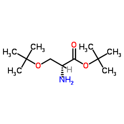 O-(叔丁基)-D-丝氨酸叔丁酯盐酸盐