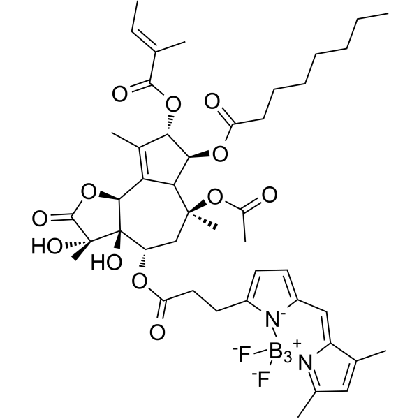 BODIPY FL Thapsigargin