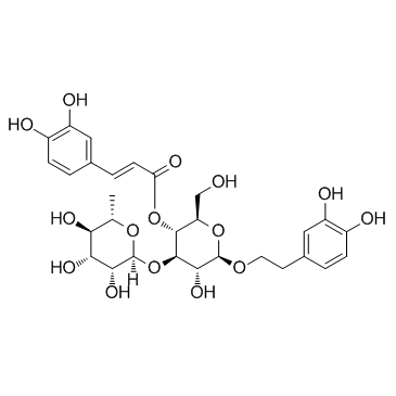 毛蕊花糖苷； 麦角甾苷