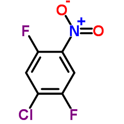 4-氯-2,5-二氟硝基苯