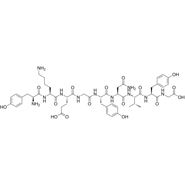 GluR23Y