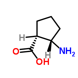 顺式-2-氨基-1-环戊烷羧酸