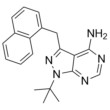 PP1模拟II,1NM-PP1