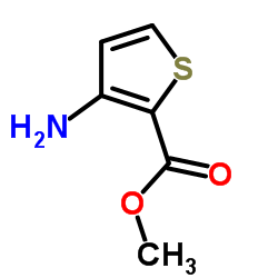 3-氨基-2-噻吩甲酸甲酯