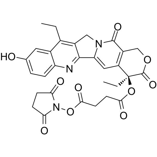 SN38 NHS ester