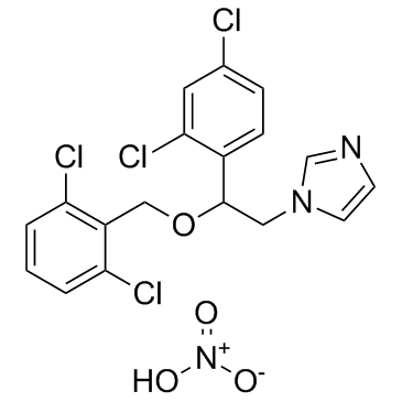 硝酸异康唑